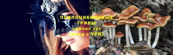 mix Алексеевка