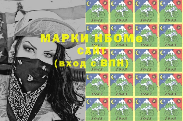 стаф Алексин