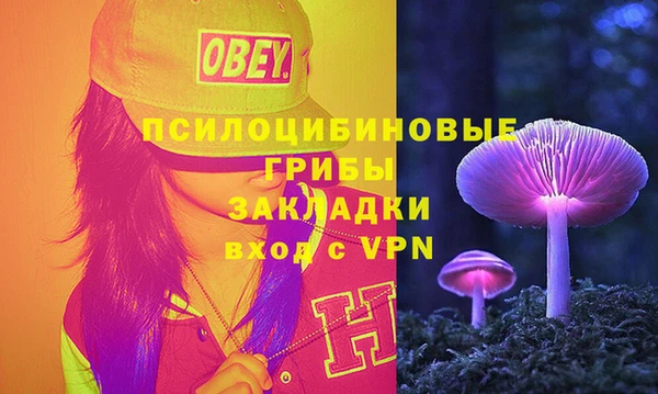стаф Алексин