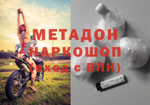 стаф Алексин