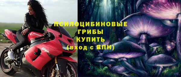 стаф Алексин
