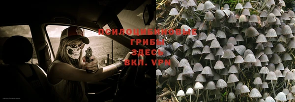 стаф Алексин