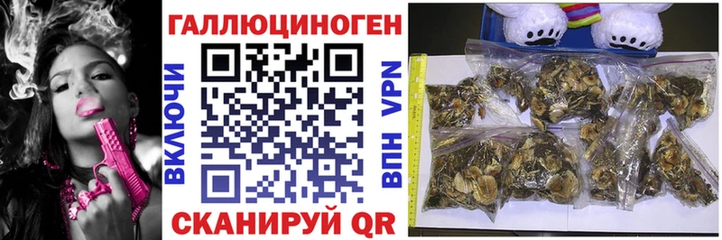 цена наркотик  блэк спрут ONION  Псилоцибиновые грибы ЛСД  Бежецк 